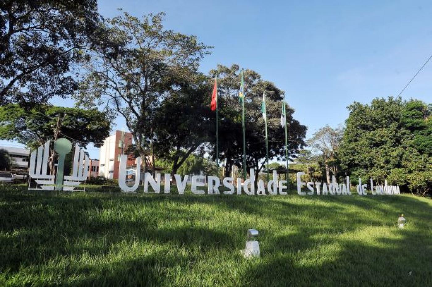 Guia completo para universitários em Londrina