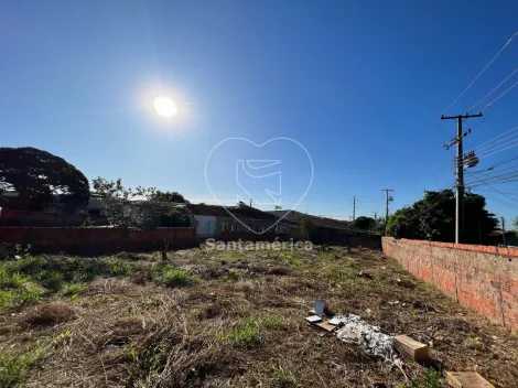 imagem 4 - Terreno à venda na Vila Casoni com 872,60m² de área total e topografia plana. imagem 4 - Terreno à venda na Vila Casoni com 872,60m² de área total e topografia plana.
