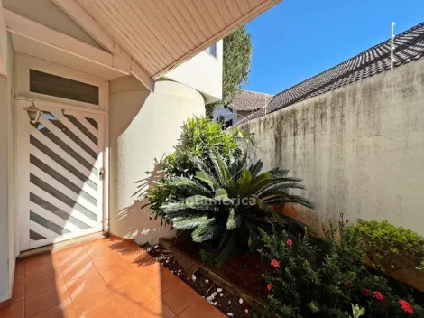 imagem 3 - Casa a venda no bairro Bela Suiça Com 457m² privativos, o imóvel conta com 5 dormitórios sendo 3 suítes imagem 3 - Casa a venda no bairro Bela Suiça Com 457m² privativos, o imóvel conta com 5 dormitórios sendo 3 suítes