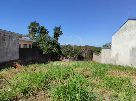imagem 2 - Terreno à venda no Jardim Hedy - 412m² próximo à Avenida Castelo Branco imagem 2 - Terreno à venda no Jardim Hedy - 412m² próximo à Avenida Castelo Branco