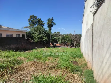 imagem 3 - Terreno à venda no Jardim Hedy - 412m² próximo à Avenida Castelo Branco imagem 3 - Terreno à venda no Jardim Hedy - 412m² próximo à Avenida Castelo Branco