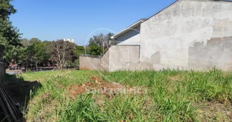 imagem 4 - Terreno à venda no Jardim Hedy - 412m² próximo à Avenida Castelo Branco imagem 4 - Terreno à venda no Jardim Hedy - 412m² próximo à Avenida Castelo Branco
