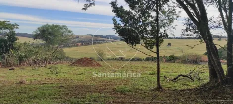 imagem 4 - Chácara à venda em Londrina com 20 mil metros. imagem 4 - Chácara à venda em Londrina com 20 mil metros.
