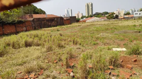 imagem 5 - Terreno Amplo Para Alugar na Zona Sul Londrina, Próximo à Avenida Madre Leônia Milito imagem 5 - Terreno Amplo Para Alugar na Zona Sul Londrina, Próximo à Avenida Madre Leônia Milito