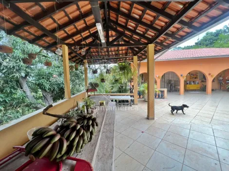 imagem 4 - Chácara à venda e para alugar no bairro Chácaras São Miguel com 3 quartos na Região Sul de Londrina imagem 4 - Chácara à venda e para alugar no bairro Chácaras São Miguel com 3 quartos na Região Sul de Londrina