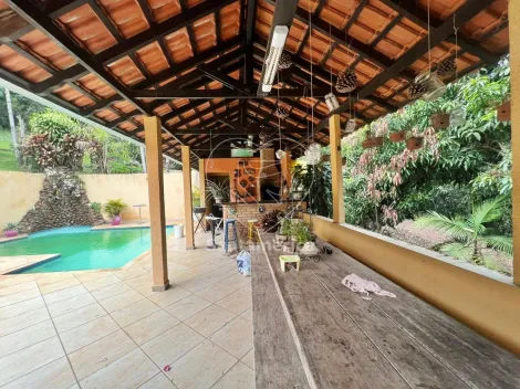 imagem 5 - Chácara à venda e para alugar no bairro Chácaras São Miguel com 3 quartos na Região Sul de Londrina imagem 5 - Chácara à venda e para alugar no bairro Chácaras São Miguel com 3 quartos na Região Sul de Londrina