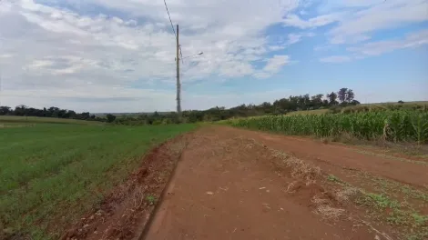 imagem 4 - Terreno plano de 2.500m² na região Leste em Londrina imagem 4 - Terreno plano de 2.500m² na região Leste em Londrina