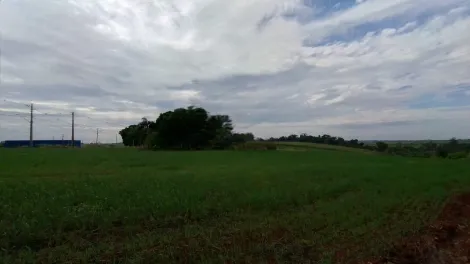imagem 5 - Terreno plano de 2.500m² na região Leste em Londrina imagem 5 - Terreno plano de 2.500m² na região Leste em Londrina