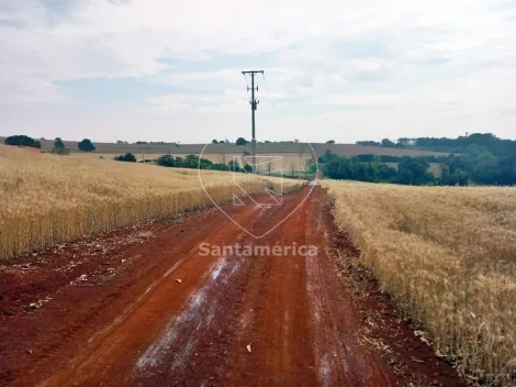 imagem 1 - Terreno - Padrão imagem 1 - Terreno - Padrão
