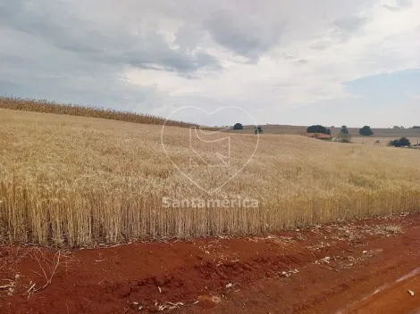 imagem 2 - Terreno - Padrão imagem 2 - Terreno - Padrão