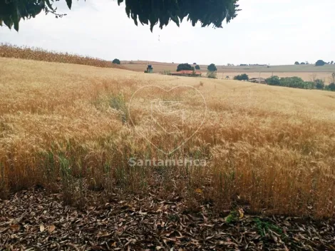 imagem 3 - Terreno - Padrão imagem 3 - Terreno - Padrão