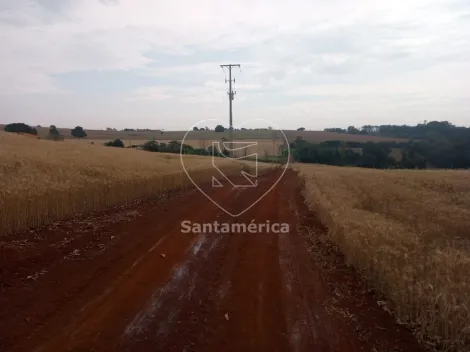 imagem 1 - Terreno Para Alugar Em Londrina Região Leste De Londrina imagem 1 - Terreno Para Alugar Em Londrina Região Leste De Londrina