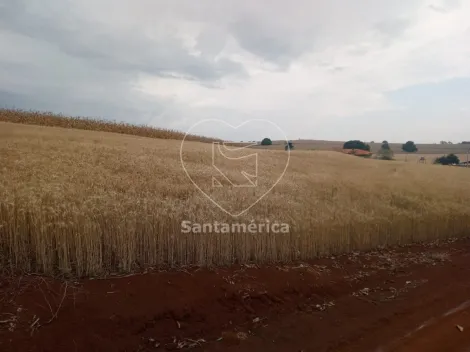 imagem 2 - Terreno Para Alugar Em Londrina Região Leste De Londrina imagem 2 - Terreno Para Alugar Em Londrina Região Leste De Londrina