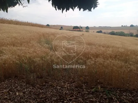 imagem 3 - Terreno Para Alugar Em Londrina Região Leste De Londrina imagem 3 - Terreno Para Alugar Em Londrina Região Leste De Londrina