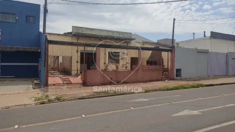 imagem 5 - Terreno plano com 342m² Comercial à venda no Jardim Coliseu próximo do Autódromo imagem 5 - Terreno plano com 342m² Comercial à venda no Jardim Coliseu próximo do Autódromo
