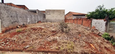 imagem 1 - Terreno plano por 10x20m² na região Norte de Londrina imagem 1 - Terreno plano por 10x20m² na região Norte de Londrina
