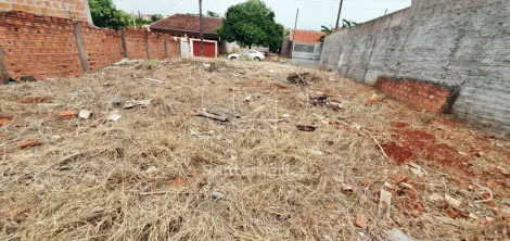 imagem 2 - Terreno plano por 10x20m² na região Norte de Londrina imagem 2 - Terreno plano por 10x20m² na região Norte de Londrina