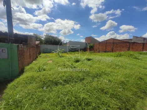 imagem 1 - Terreno plano com 250m² à venda na região Norte imagem 1 - Terreno plano com 250m² à venda na região Norte