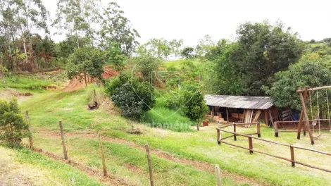 imagem 3 - Chácara à Venda em Londrina - Fazenda Nata Limoeiro com 2 Dormitórios imagem 3 - Chácara à Venda em Londrina - Fazenda Nata Limoeiro com 2 Dormitórios