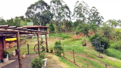 imagem 4 - Chácara à Venda em Londrina - Fazenda Nata Limoeiro com 2 Dormitórios imagem 4 - Chácara à Venda em Londrina - Fazenda Nata Limoeiro com 2 Dormitórios