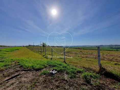 imagem 2 - Sitio à venda com 78.100m² em Jataizinho imagem 2 - Sitio à venda com 78.100m² em Jataizinho