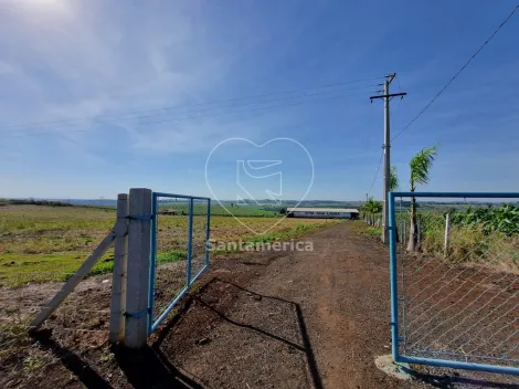 imagem 1 - Sitio à venda com 78.100m² em Jataizinho imagem 1 - Sitio à venda com 78.100m² em Jataizinho