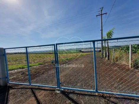 imagem 3 - Sitio à venda com 78.100m² em Jataizinho imagem 3 - Sitio à venda com 78.100m² em Jataizinho