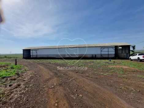 imagem 4 - Sitio à venda com 78.100m² em Jataizinho imagem 4 - Sitio à venda com 78.100m² em Jataizinho
