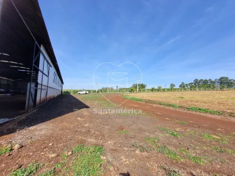 imagem 5 - Sitio à venda com 78.100m² em Jataizinho imagem 5 - Sitio à venda com 78.100m² em Jataizinho