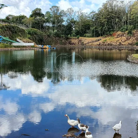 imagem 2 - Hotel Fazenda à venda em Apucarana imagem 2 - Hotel Fazenda à venda em Apucarana