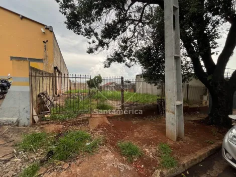 imagem 5 - Terreno amplo e em aclive à venda na Vila Yara - ZC5 - Londrina imagem 5 - Terreno amplo e em aclive à venda na Vila Yara - ZC5 - Londrina