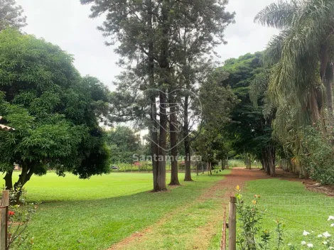 imagem 3 - Casa - Chácara imagem 3 - Casa - Chácara