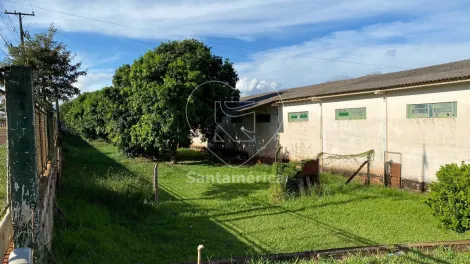 imagem 3 - Barracão à venda em Rolândia com terreno de 12.916m² imagem 3 - Barracão à venda em Rolândia com terreno de 12.916m²