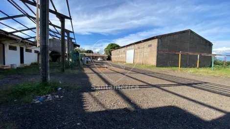 imagem 4 - Barracão à venda em Rolândia com terreno de 12.916m² imagem 4 - Barracão à venda em Rolândia com terreno de 12.916m²