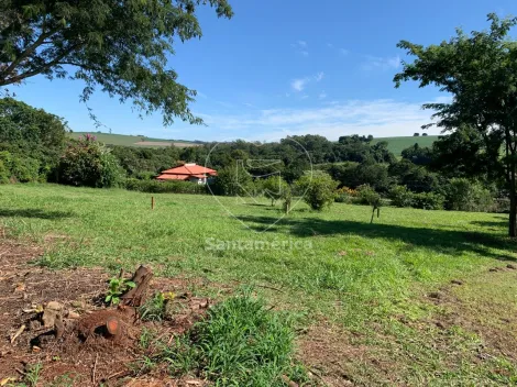 imagem 4 - Chácara Ampla com Bela Vista Para a Natureza no Condomínio Estância Cabral imagem 4 - Chácara Ampla com Bela Vista Para a Natureza no Condomínio Estância Cabral