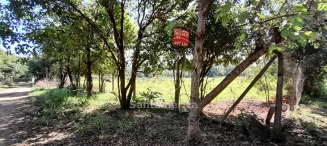 imagem 1 - Terreno para alugar com 3.000m² em Londrina imagem 1 - Terreno para alugar com 3.000m² em Londrina