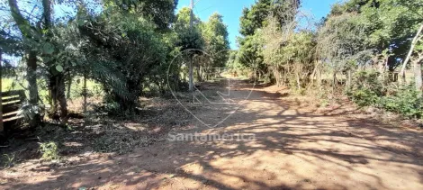 imagem 3 - Terreno para alugar com 3.000m² em Londrina imagem 3 - Terreno para alugar com 3.000m² em Londrina