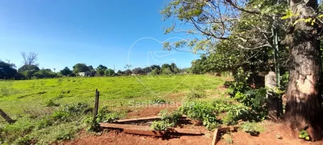 imagem 5 - Terreno para alugar com 3.000m² em Londrina imagem 5 - Terreno para alugar com 3.000m² em Londrina