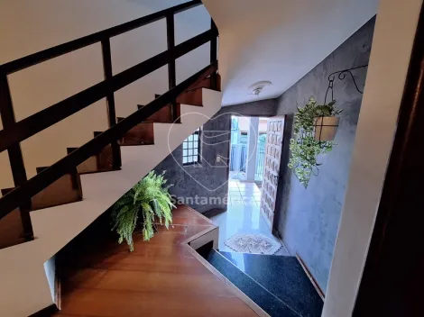 imagem 4 - Casa - Padrão imagem 4 - Casa - Padrão