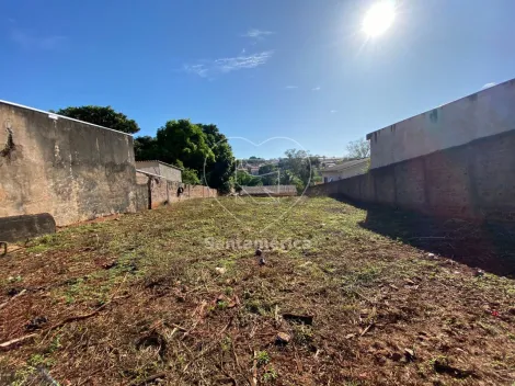 imagem 2 - Terreno - Padrão imagem 2 - Terreno - Padrão