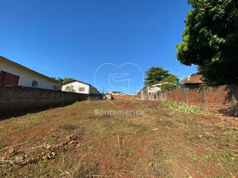 imagem 4 - Terreno - Padrão imagem 4 - Terreno - Padrão