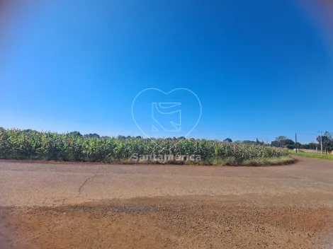 imagem 1 - Terreno à Venda em Cambé - 23.000m² para Construção ou Investimento imagem 1 - Terreno à Venda em Cambé - 23.000m² para Construção ou Investimento