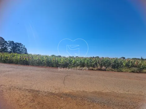imagem 2 - Terreno à Venda em Cambé - 23.000m² para Construção ou Investimento imagem 2 - Terreno à Venda em Cambé - 23.000m² para Construção ou Investimento