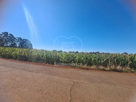 imagem 3 - Terreno à Venda em Cambé - 23.000m² para Construção ou Investimento imagem 3 - Terreno à Venda em Cambé - 23.000m² para Construção ou Investimento