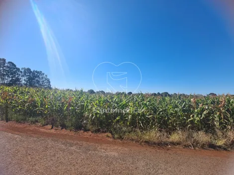 imagem 4 - Terreno à Venda em Cambé - 23.000m² para Construção ou Investimento imagem 4 - Terreno à Venda em Cambé - 23.000m² para Construção ou Investimento