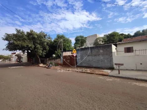 imagem 2 - Terreno - Padrão imagem 2 - Terreno - Padrão