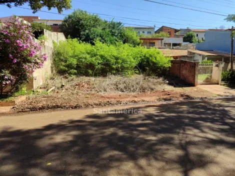 imagem 4 - Terreno - Padrão imagem 4 - Terreno - Padrão