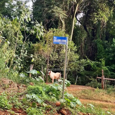 imagem 4 - Terreno em Ibiporã no Condomínio Horizontal Marajoara imagem 4 - Terreno em Ibiporã no Condomínio Horizontal Marajoara