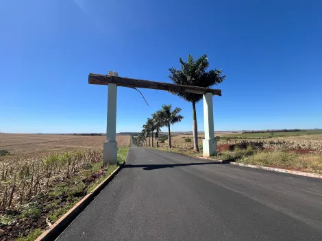 imagem 1 - Chácara à venda em Alvorada do Sul imagem 1 - Chácara à venda em Alvorada do Sul