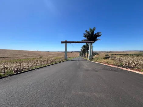 imagem 2 - Chácara à venda em Alvorada do Sul imagem 2 - Chácara à venda em Alvorada do Sul